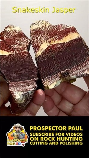 Cutting Rocks to Discover Nature's Hidden Treasures - No.15 Snakeskin Jasper #crystals #minerals