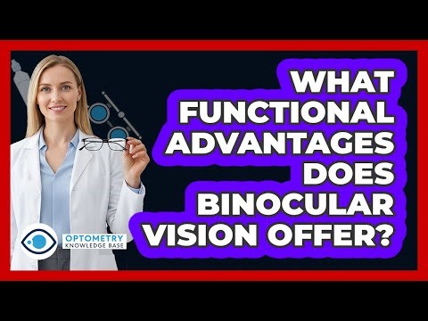 What Functional Advantages Does Binocular Vision Offer?