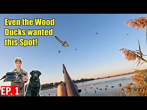 FIRST Wood Duck & Kelly's FIRST Duck Hunt (LIMITS) | Duck Hunting