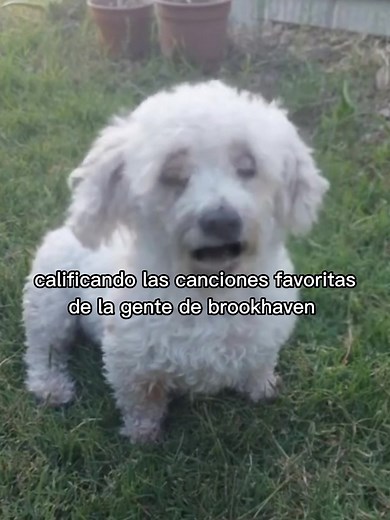 Hago tutorial de cómo tener robux gratis? 🥹 #foryou #fyp #parati