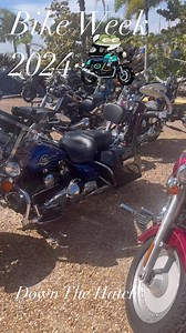 2.6K views · 79 reactions | DOWN THE HATCH on Reels | Facebook