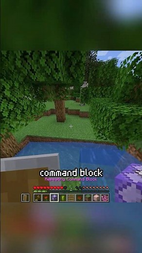 Minecraft, But Mobs Drop Random Loot #shorts