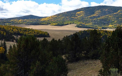 New Mexico Nomad : Nature : Valle Vidal