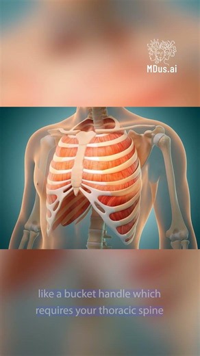 Why a Stiff Mid-Back Makes It Hard to Breathe