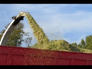 Webinaire Bien comprendre ses analyses de fourrages