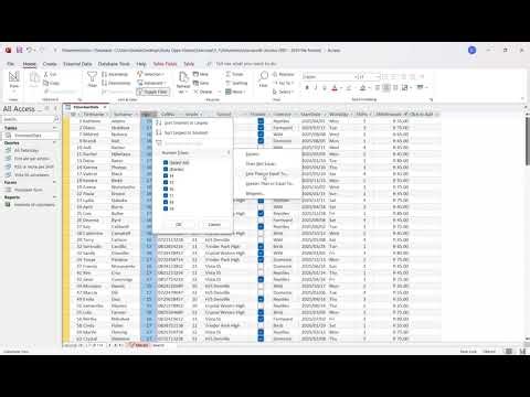 Databases | Filters | Module 5.1 Activity 4 No 3