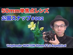 50mm単焦点レンズで公園スナップ#002【Voigtlander NOKTON 50mm F1.2 Aspherical】#4K