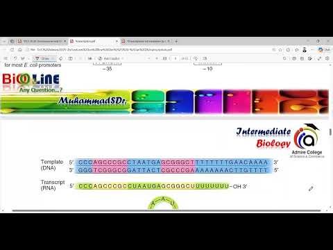 Gene Expression – RNA processing, Splicing of RNA, Genetic Code