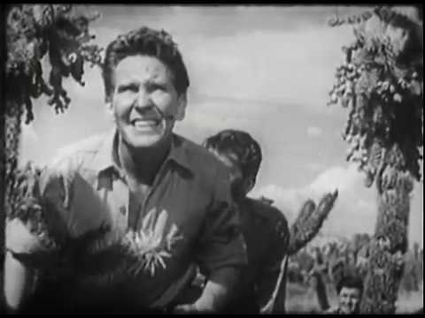 "Rear Gunner," U.S. Army Air Forces Film, 1943