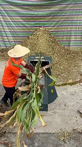 15 Tons/Hour Chaff Cutter to Support Modern Agriculture.#chaffcutter #machinery #farmer #dawnagro | Dawn Agro Machinery