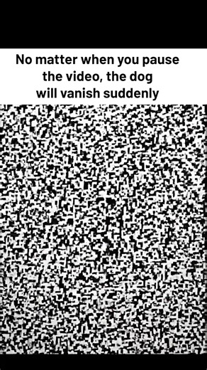 No matter when you pause the video, the dog will vanish suddenly | Creative Panda
