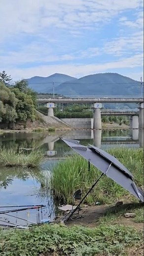 청도 파랑새다리밑~