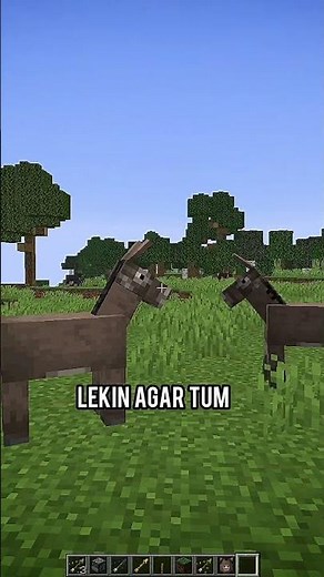 minecraft secret commands 🤔