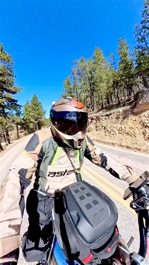 Motorcycle Deer run🦌 | David Carpenter