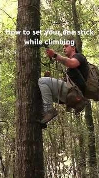 How to move your one stick while climbing a tree | Part 1 #youtubeshorts #bowhunting #archery