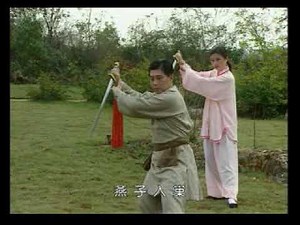 Yang shi tai chi quan. Complex of 13 forms, sword Jian. 杨式太极剑