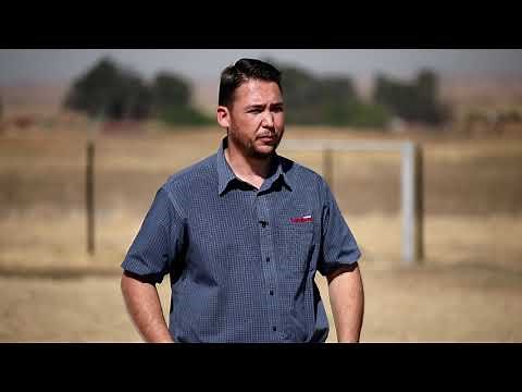MOLATEK | Finishing of Lambs in a Feedlot