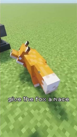 Fox Mace Experiment GONE WRONG #minecraft #shorts #fails