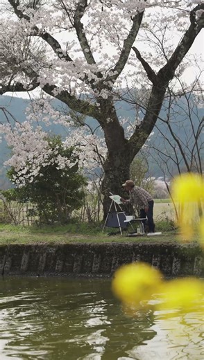 美しい春の余呉湖 #長浜観光 #北近江豊臣博覧会 #めぐる長浜