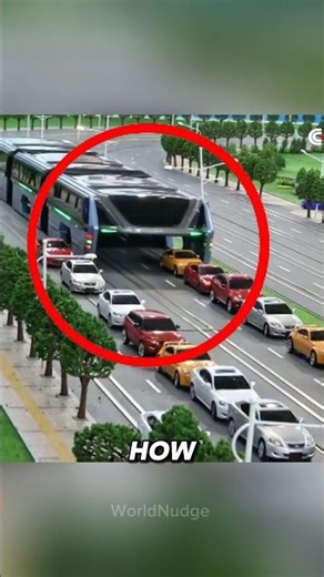 The Giant Bus That Fooled the Entire World and Sent Thirty Two People to Prison #facts #reels