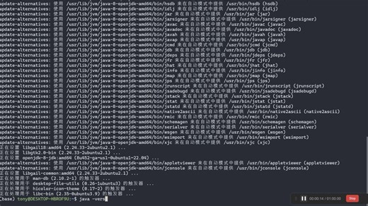 安装java环境(openJDK)