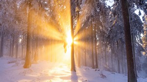 Schnee, Eis und Frost - das sagen die Wettercomputer über den Winter | wetter.de