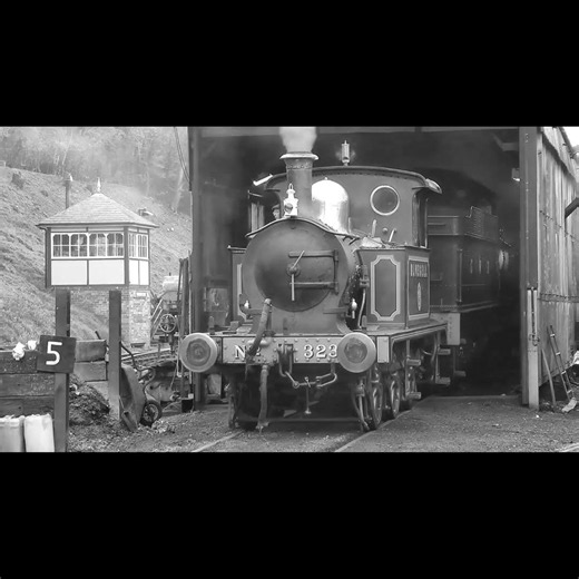 SECR P Class - No. 323 - 'Bluebell' - Shackerstone - The Battlefeild Line #steam #steamlocomotive