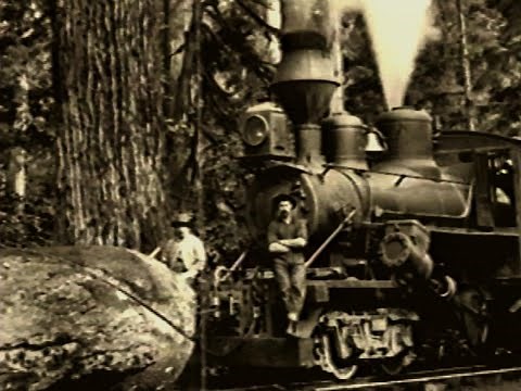 The American Hobo History of the Railriding Worker