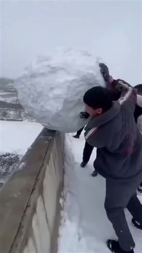 Exploring the Wonders of Sea Life and Ship Life