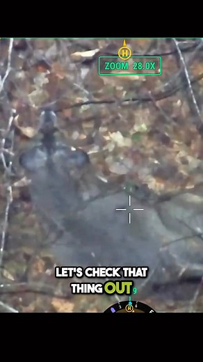 5.8K views · 74 reactions | Watch the full video on YouTube. | Drone Deer Recovery | Facebook