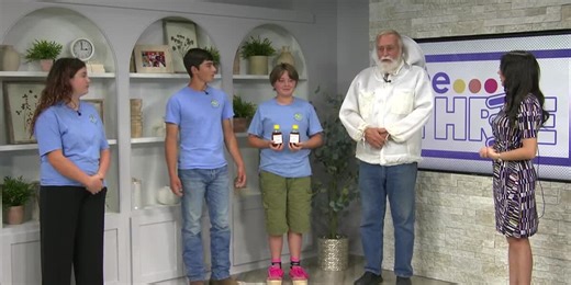 Learn everything there is know about bees at these classes