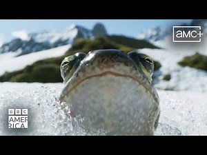 Planet Earth III Official Trailer ft. Bastille | Premieres November 4 | BBC America
