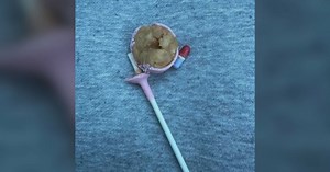 Pill found in Vancouver Island Starbucks cake pop