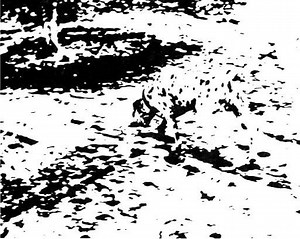 The encroachment of 'systems'