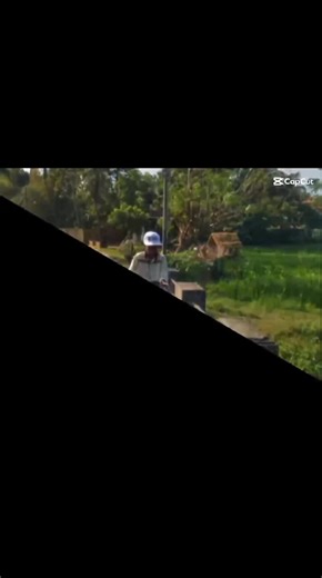 dora__exe (@dora__exe)’s videos with original sound - dora__exe