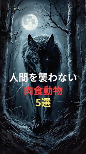 肉食でも、人間を襲わない優しい一面。“恐ろしい”の裏に隠れた、動物たちの本当の姿とは——。#動物雑学 #肉食動物 #優しい動物 #野生の世界 #動物の知恵 #癒し動画 #自然の不思議