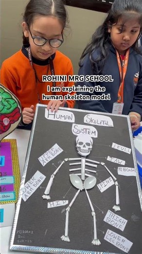 I’m explaining the human skeleton model #youtubeshorts #youtube #mrg #schoollife #school #learning