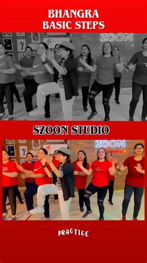SHEETAL on Instagram: "Learn basic bhangra steps #danceclass #punjabi #bhangra #punjabisonglover #punjabivideos"