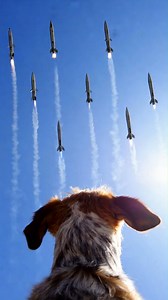 Trapped Under Concrete After the Nuclear Blast — A Dog's Fight to Survive 🎬This video was produced by Network Media and Blue-X Studio | The Imaginary Art Exhibit