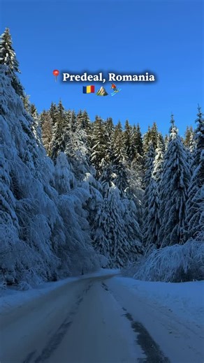 Schi, liniște și relaxare la SPA. Dacă asta cauți într-o vacanță la munte, Predeal e destinația potrivită, iar Hotel Orizont vine cu vedere panoramică și cel mai mare centru SPA de pe Valea Prahovei, perfect pentru relaxarea de după o zi petrecută pe pârtie sau la plimbare. ⛷️ 📲 Rezervări pe hotelorizont.ro #ski #predeal #hotelorizont #vacanțălamunte #piscina | Hotel Orizont Predeal