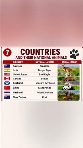 Countries, Capitals, Flags, Currencies & Languages | Learn World Geography 🌍