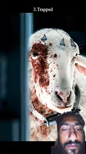 This Lab Has ONE Job... (Alien: Earth Episode 6 Meltdown)