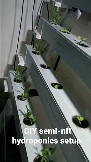 DIY Semi-NFT hydroponics setup (Half A) using cable trunking.