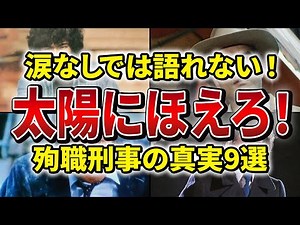 『太陽にほえろ!』刑事が殉職した瞬間…涙なしに語れない最期【解説】