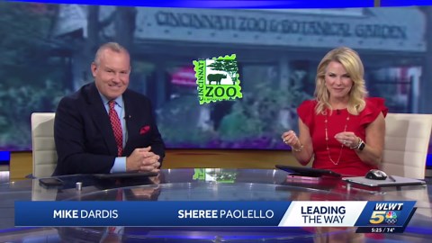 Cincinnati Zoo announces name for new baby gorilla