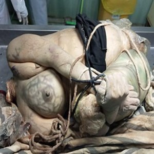 When You Forget Your Real Life Blow Up Doll in Forest