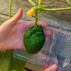 Genius plant hacks for your inner gardener! | 3-Minute Hacks