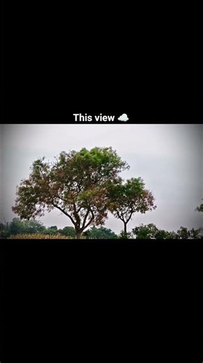 THIS VIEW ☁️🪟 #view #song #shorts #edit