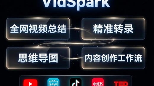 全网视频总结，视频转文字，二次创作，VidSpark工具分享