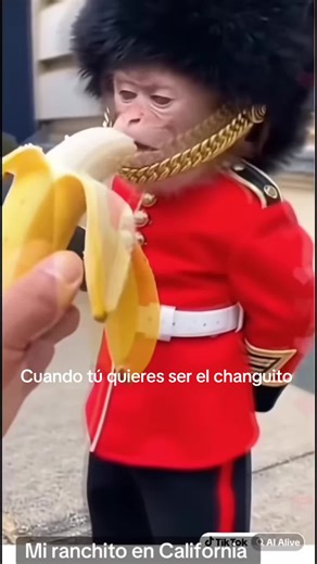 El changote quiere su camote 🍠 🤣